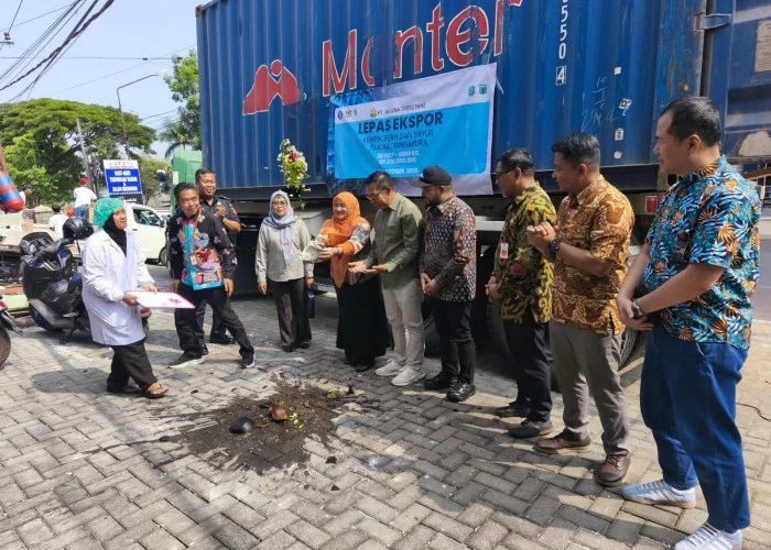 Keripik UMKM Kota Batu Tembus Singapura, Ekspor 6 Ton Bernilai Rp 370 Juta